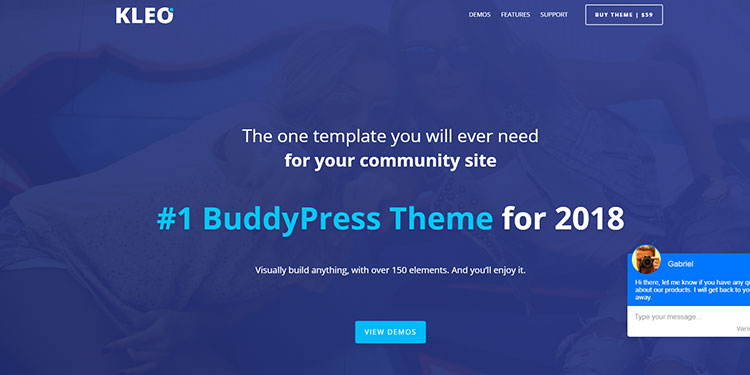 best wordpress themes for business