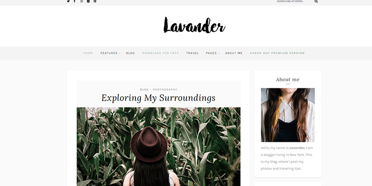 best wordpress themes for startup