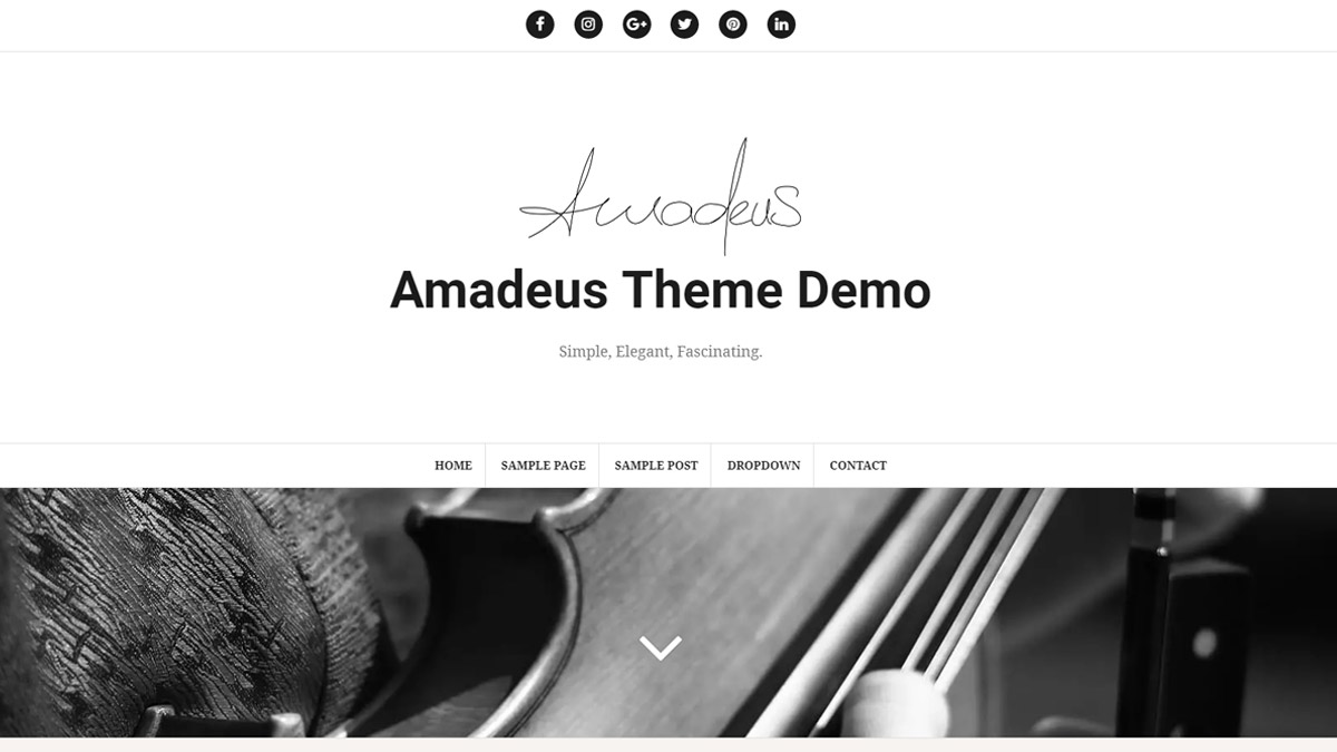best wordpress templates- amadeus theme